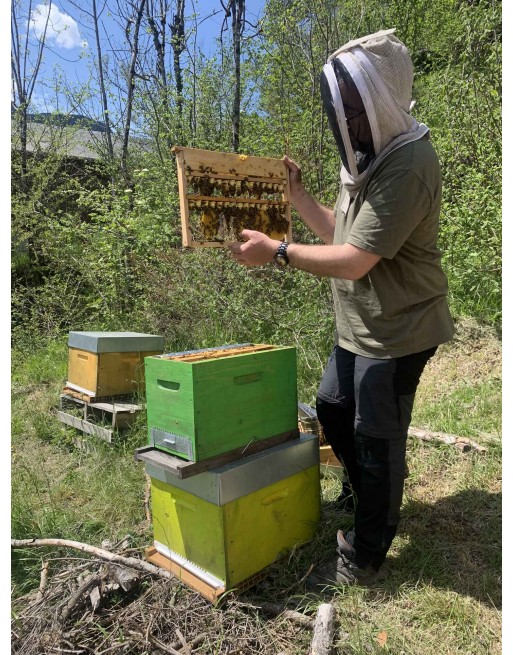 Week End Stage D Initiation L Apiculture Biologique H Bergement Non